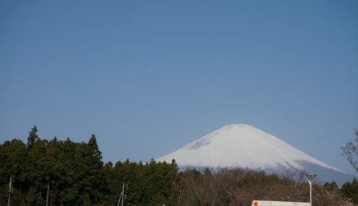 ノライオ東へ行く