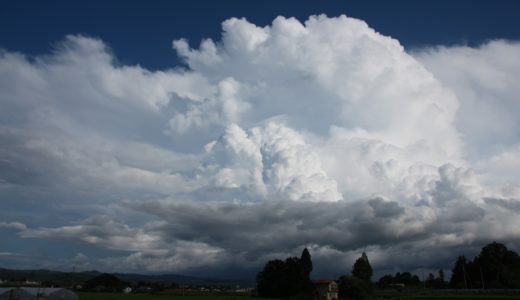 ノライオさん栃木県へ行ってみる