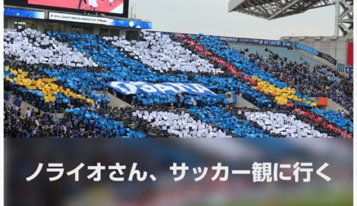 2014年ナビスコカップ決勝を観に行ったぞ