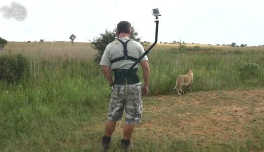 これスノーボードでも使ってみたいってGoProアクセサリー見つけた